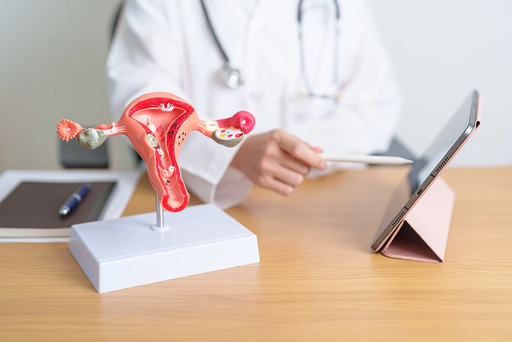 Gynaecologist discussing uterine fibroids with a patient during a consultation.
