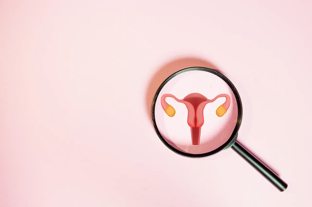 Magnifying glass over illustration of female reproductive organs
