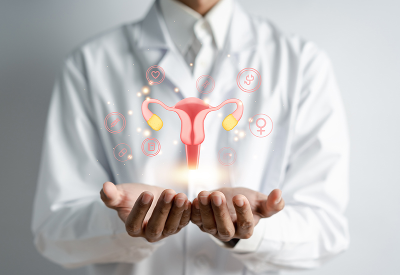 Doctor in a white coat holding a digital illustration of the uterus and female reproductive system.
